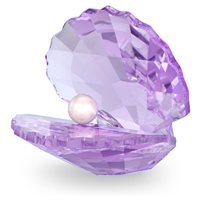 Cristalleria Swarovski in Cristallo 5552919
